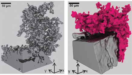 Mossy microstructures in lithium batteries