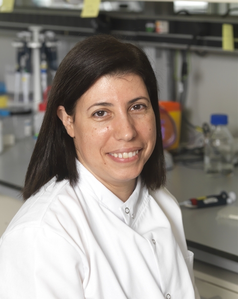 Isabel De Moraes is Head of the Membrane Protein Laboratory at Diamond