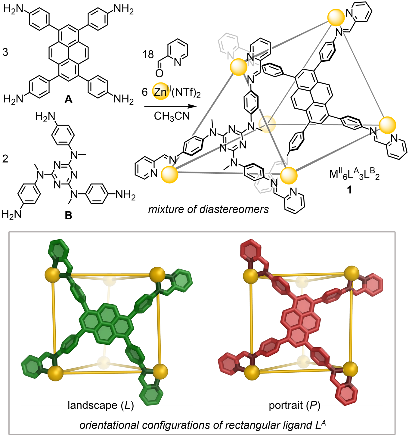 Fig. 1: Self-assembly of the new trigonal prismatic cage 1 and illustration of the two different orientational configurations of the pyrene-based ligand.