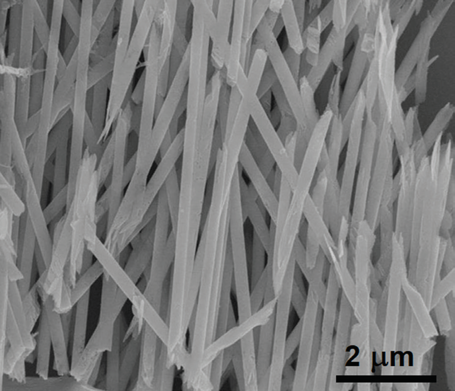 Figure 1: Calcium carbonate rods precipitated within pores of diameter 200 nm.