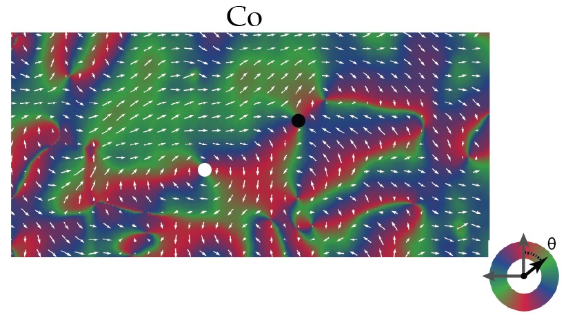 Fig. 2: XMCD-PEEM image of Co layer, in the same region as Fig.1. The location of the vortex (anti-vortex) highlighted in the rust layer in Fig.1 is indicated by the white (black) circle in the Co map, where we see the Co magnetisation (white arrows) also forms a respective vortex (anti-vortex).