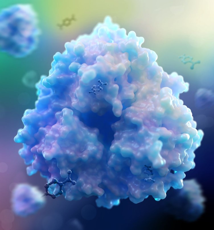 The TPADO enzyme. Credit: Rita Clare, Montana State University.