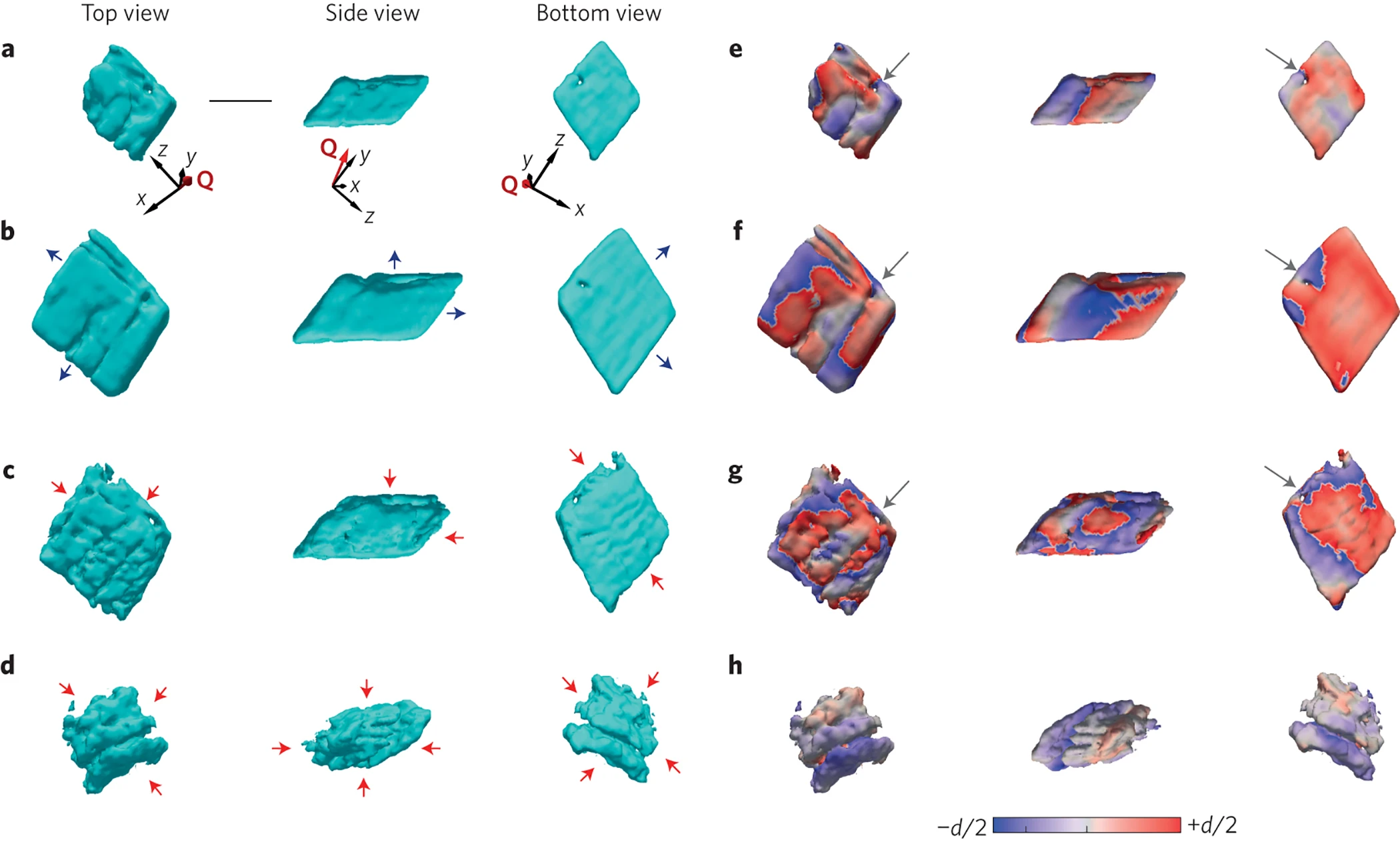 BCDI Reconstructions