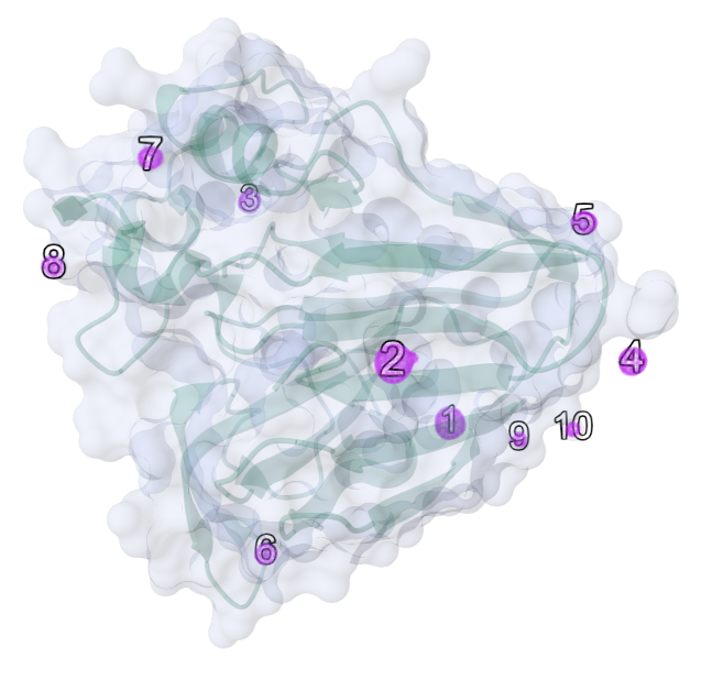 Visualisation of structure