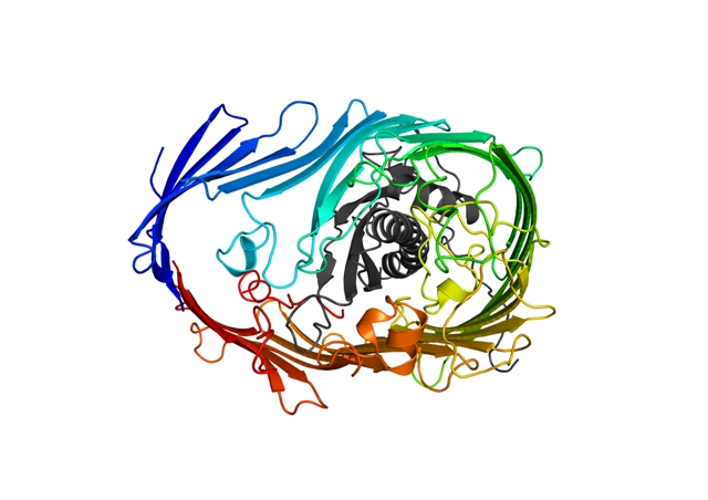 View of the LptDE complex from outside of the bacterial cell with LptD shown in rainbow and LptE in grey The lipopolysaccharide (LPS) molecule that acts as a camouflage on the cell exterior enters the protein on the left hand side of the pore from the rear and extends out of the front. Finally LPS enters the outer membrane of the cell through an opening between the red and blue strands of LptD.