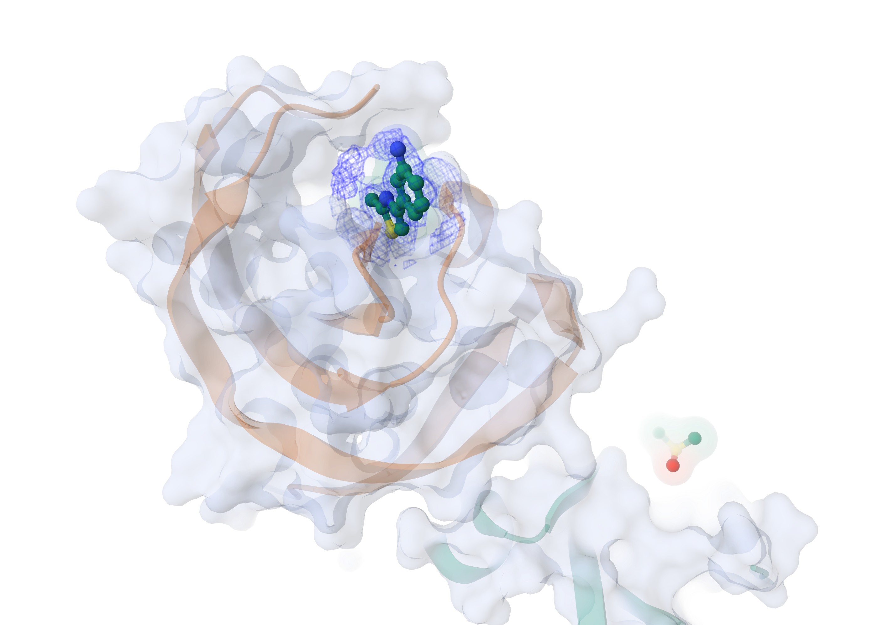 ligand bound in protein