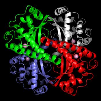 protein chains