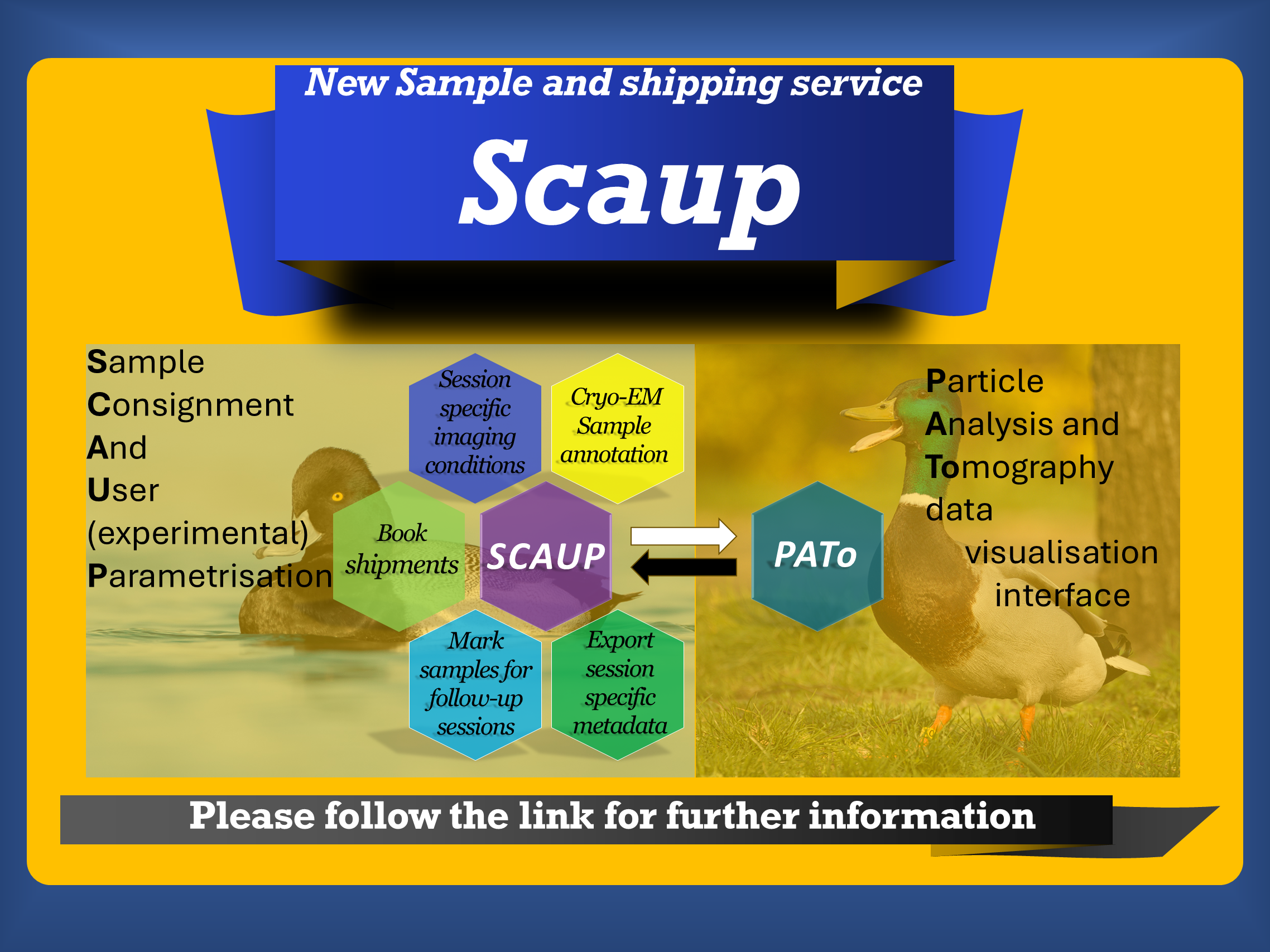 Image New sample and shipping process - SCAUP