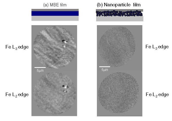 Studying Thin Film - Loss of long-range magnetic nanoparticle assembly 