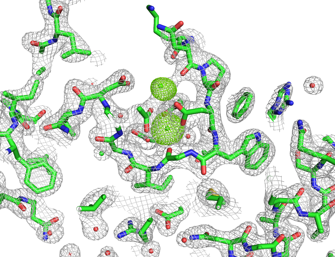 Image Current Research Interests