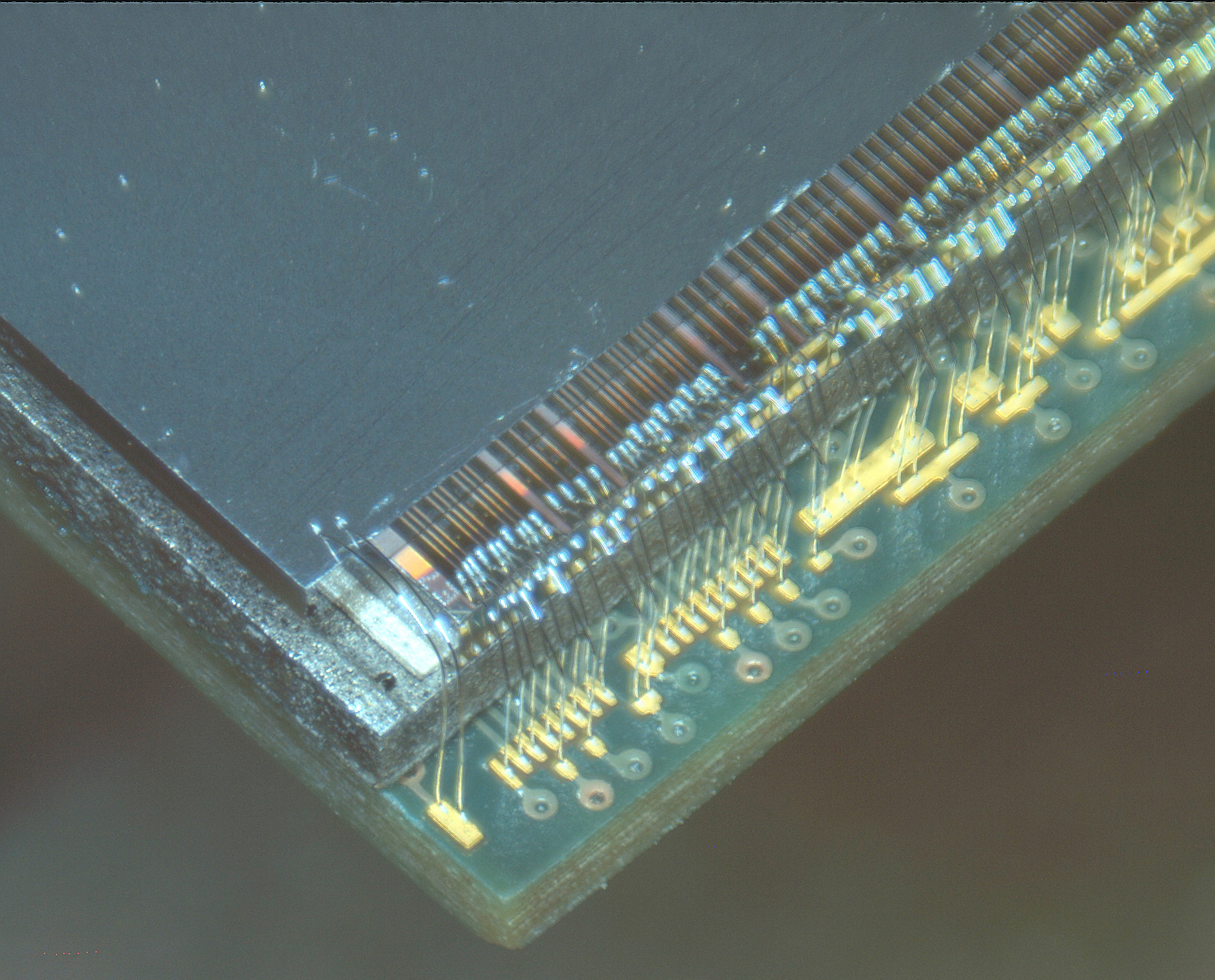 Microscope image of an ExcaliburRX sensor module