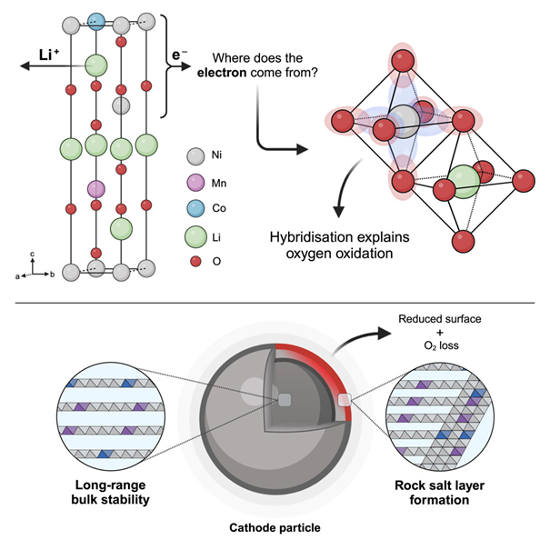 Figure1: Graphical abstract of the publication