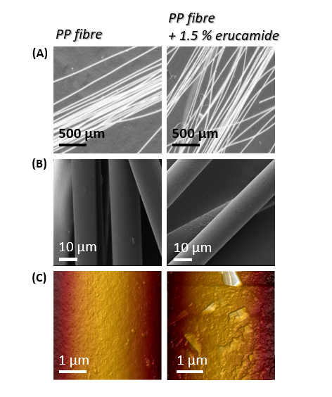 Multiscale characterisation of polypropylene (PP) fibre vs polypropylene fibre + 1.5 % erucamide: (A) Optical microscopy, (B) Scanning Electron Microscopy, (C) Atomic Force Microscopy (height image)