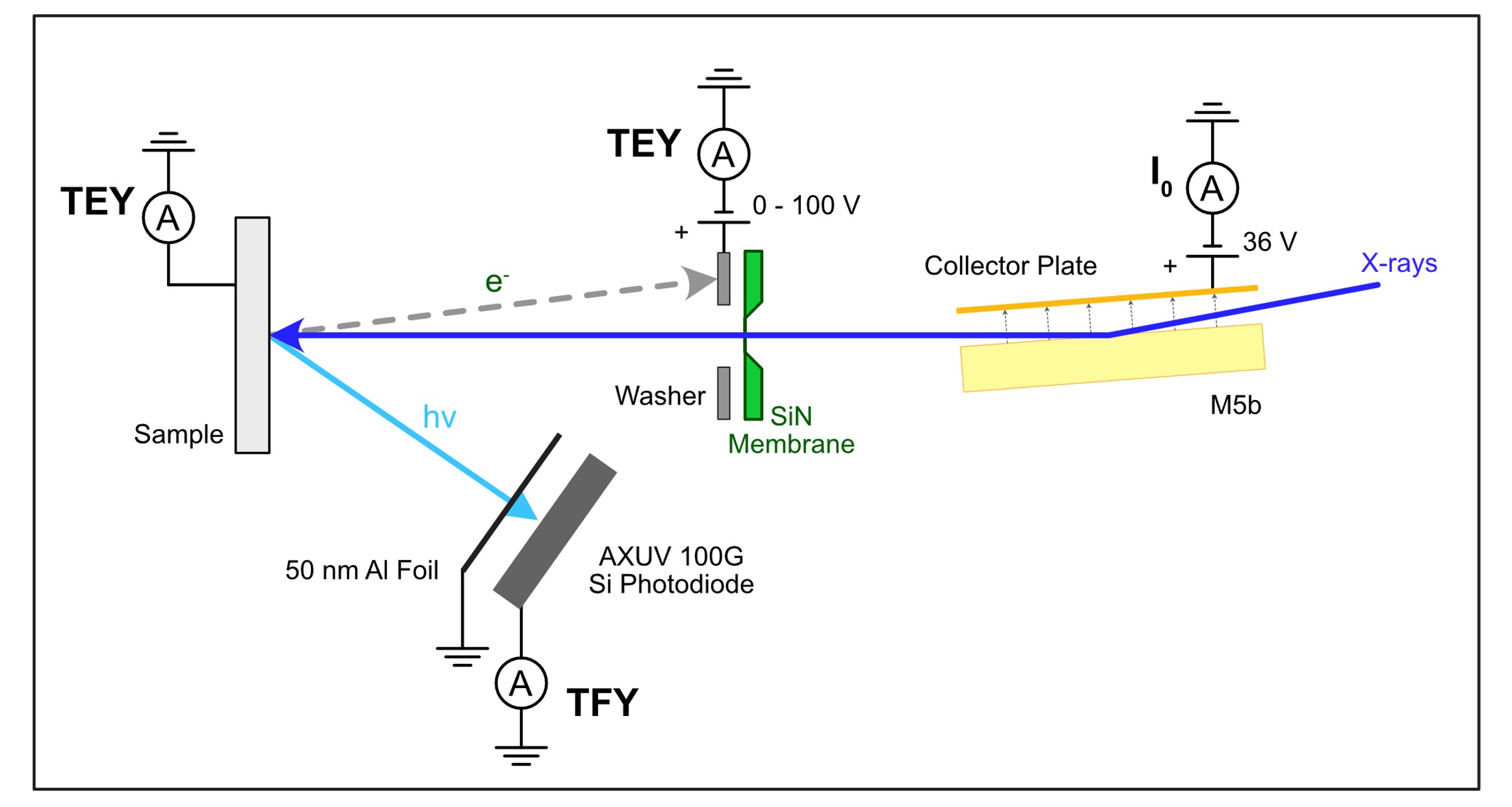 Detector Layout