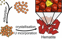 Hematite can lock the door on uranium contamination