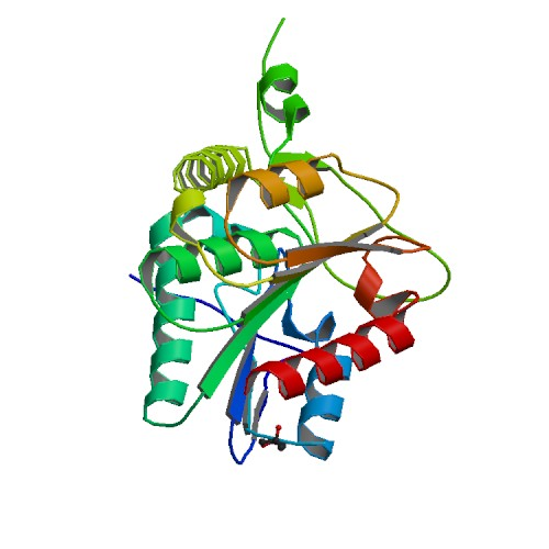 Image The structure of monoacylglycerol lipase from Bacillus sp. H257