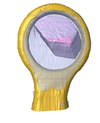 Volume rendering of segmentations a protein crystal sample