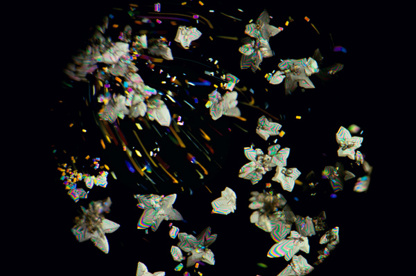 Pharmorphix, Cambridge: The rapid crystallisation of the proprietary cancer drug shown here mimics the metamorphosis from the early years of cancer treatment to the groundbreaking, life-saving drugs available today.<br/>Pharmorphix focuses on understanding, enhancing, and optimizing the physical properties of active drug substances and the final drug product to deliver safe and effective medicines.<br/>