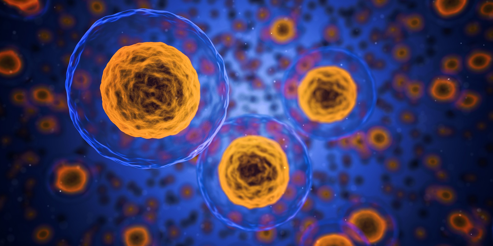 Macromolecular Crystallography (MX) at Diamond reveals the shape and arrangement of biological molecules at atomic resolution, knowledge of which provides a highly accurate insight into function. 