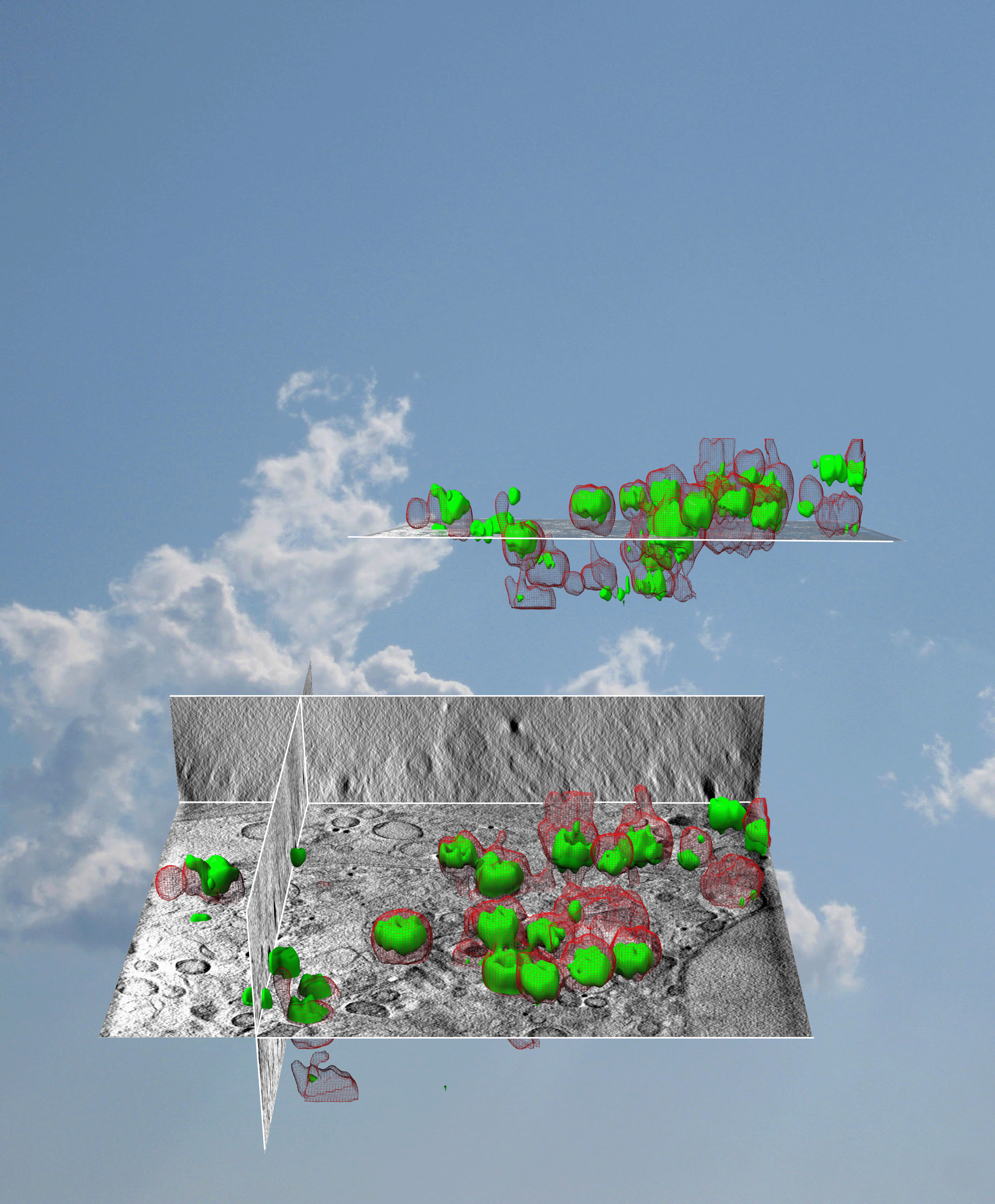 3D rendering of the cryoSIM recorded structures displaying viral green fluorescence within the cytoplasm and 3D semi-transparent rendering of all cytoplasmic vesicles that contain viruses. <br/><br/>The X-ray tomogram of the cell that contains these structures is represented by the grayscale slices of its planes with the associated cellular structures clearly delineated. 