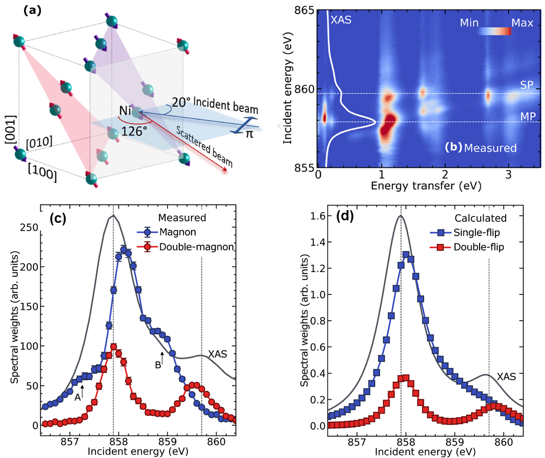 Fig 2. (a): RIXS scattering geometry used for the experiment. (b) RIXS incident energy map collected at I21 on NiO. (c) Resonance behavior of experimentally measured magnon and double-magnon excitations represented by their spectral weights. In panel (d) the spectral weights obtained from simulated RIXS spectra of single-site single and double spin-flip excitations using Quanty are shown.