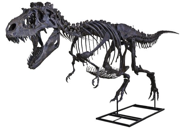 Diamond shines a light on dinosaurs at Cheltenham Science Festival