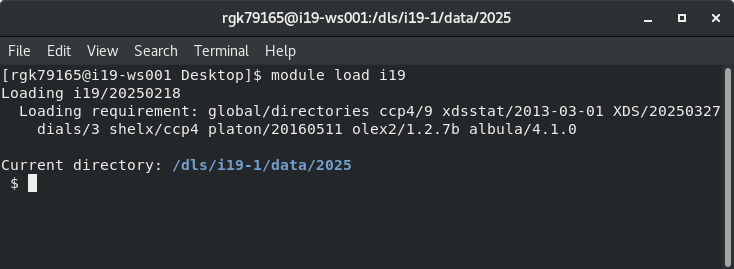 module load i19
