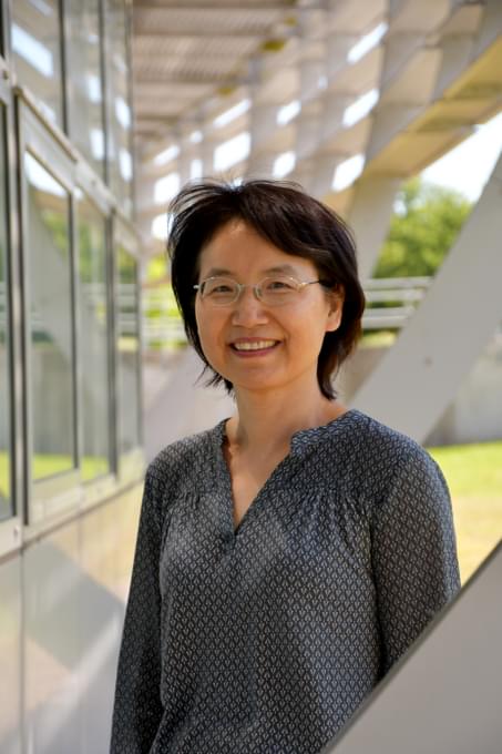 Image Prof Peijun Zhang, director of the electron Bio-Imaging Centre (eBIC), has been elected to the EMBO membership for her research excellence and outstanding achievements in life sciences.  