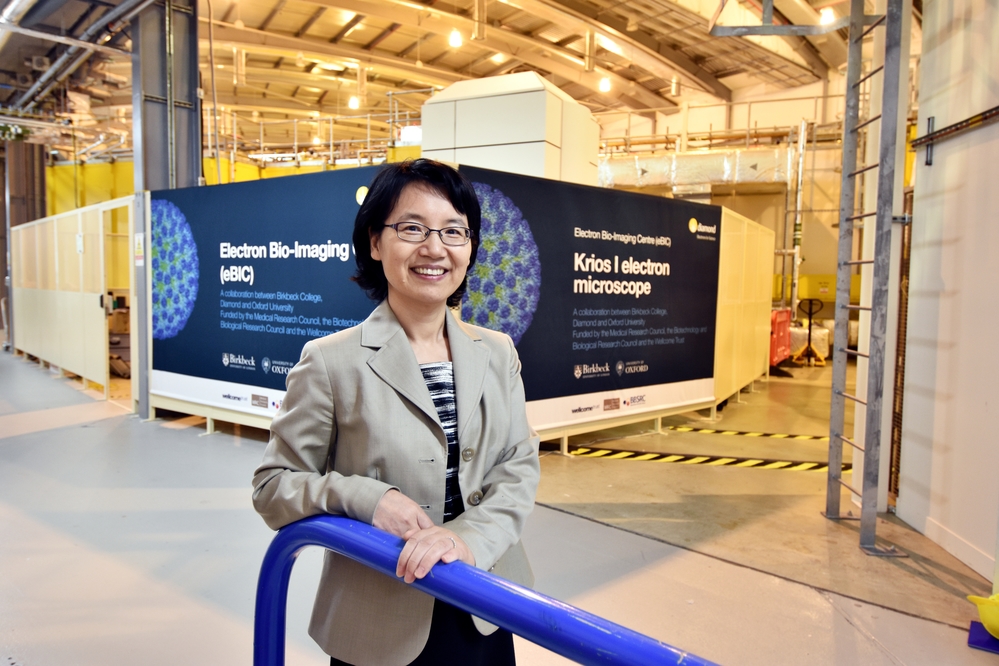 Dr Peijun Zhang, Director of the electron Bio-Imaging Centre (eBIC)