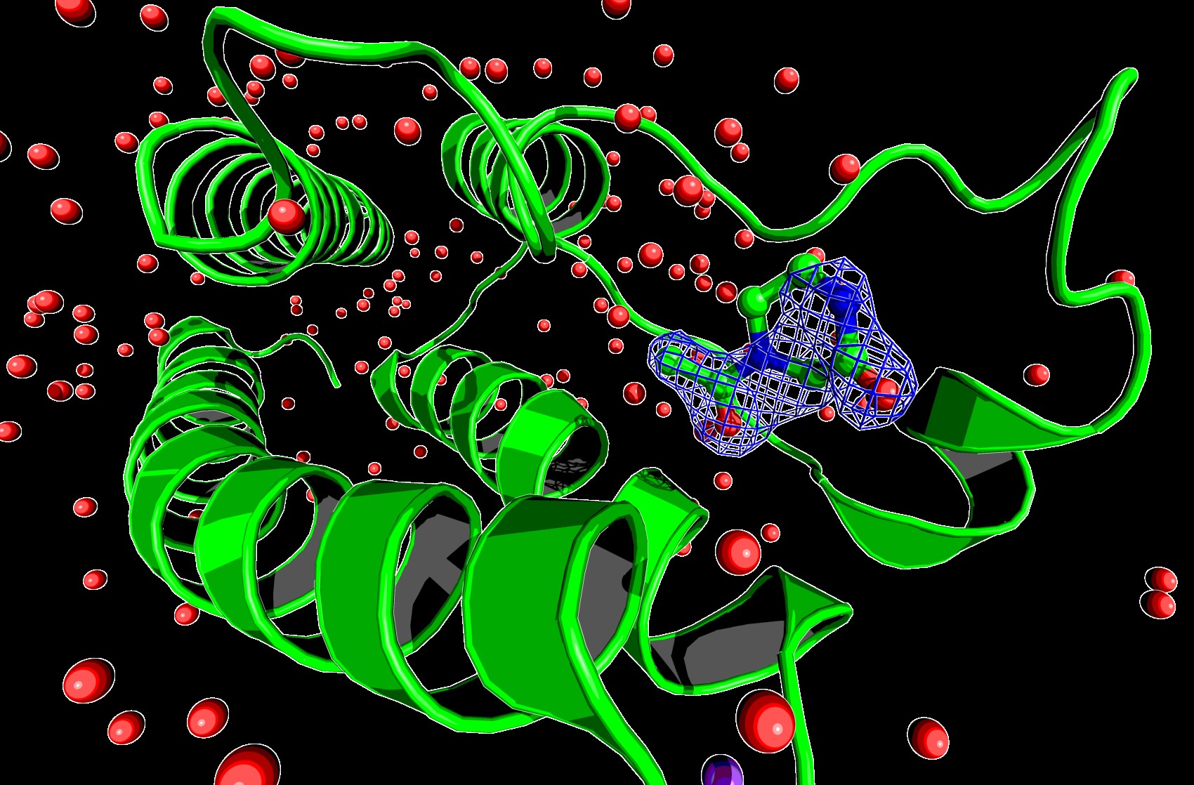 Electron density for a ligand bound to bromodomain BRD1.