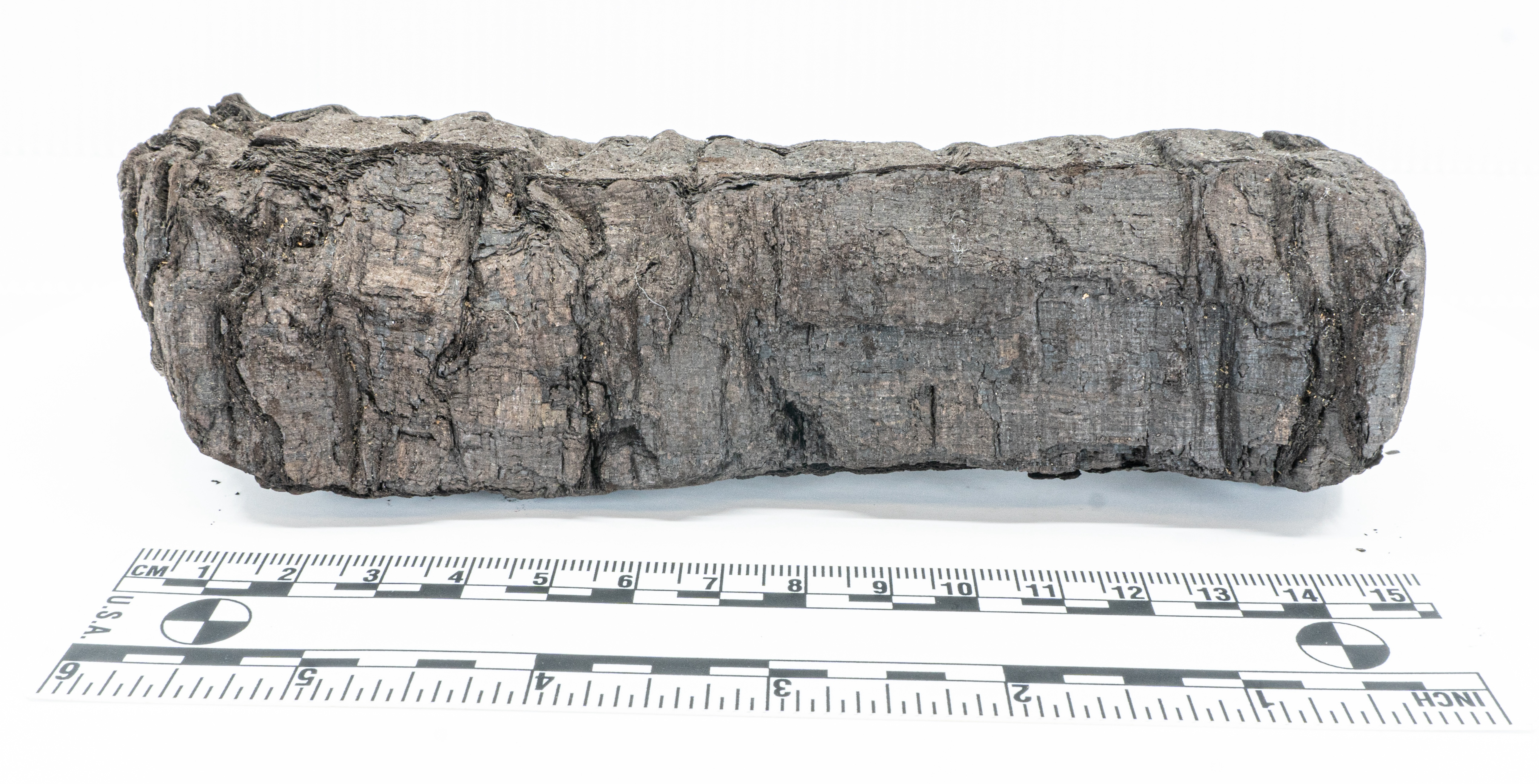 The Bodleian Libraries Herculaneum scroll.