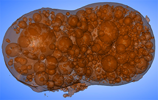 Structure of Fukustima particles