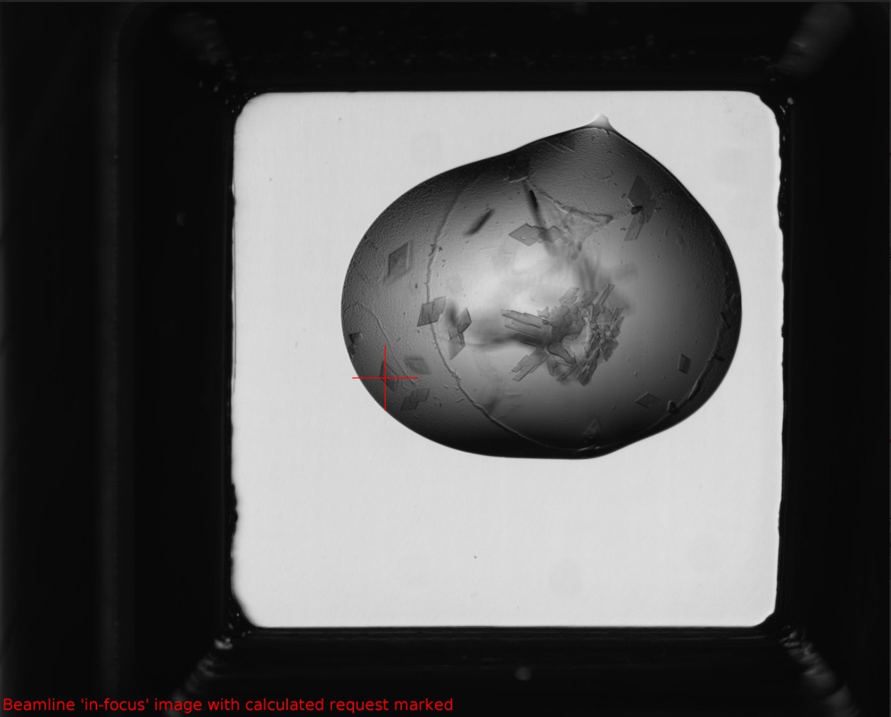 alternate marked image