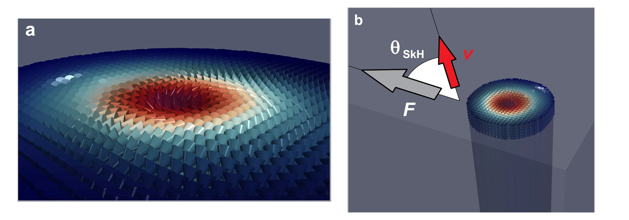 A. Magnetisation distribution of an isolated magnetic skyrmion. The magnetic moments far from the centre point antiparallel to the central spin, with intermediate moments winding away from the centre in case of a Bloch-type skyrmion (and point radially in case of a Neel-type skyrmion). B. When a skyrmion is driven by an applied force F, it moves with a velocity v at an angle θSkH to the direction of the applied force. This angle is constrained to lie in the closed interval [−90∘,90∘], i.e., skyrmions cannot be driven backwards by a force that acts forwards.