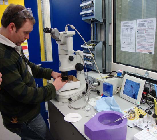 Selecting a crystal