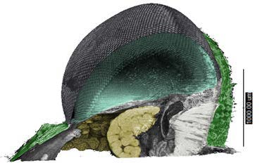 An example of tomographic imagery, using data from Diamond Light Source