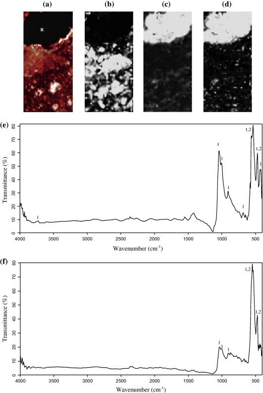 IR Chemimaps showing the distribution of several different minerals across a small area of the red sediment from Sheikh-e Abad (frame width = 0.6 mm). (a) A photomicrograph showing a visible image of the mapped area (‘R’ = an accumulation of dark red sediment), followed by Chemimaps showing the distribution of (b) calcite (CO32− asymmetric stretch at 1412 cm−1), (c) kaolin group clay (Si–O–Si and Si–O–Al stretches at 1046 cm−1 and Al–O–H bend at 998 cm−1) and (d) clay and hematite (Si–O–Al and Si–O bends and Fe–O lattice vibrations at 547 and 477 cm−1). The descriptions in the brackets refer to the peaks that were integrated to produce the Chemimap for each mineral. The IR spectra displayed are from different locations within the accumulation of red sediment, showing (e) an area where the kaolin clay spectrum dominates and (f) the hematite spectrum dominates (1. clay, 2. hematite).