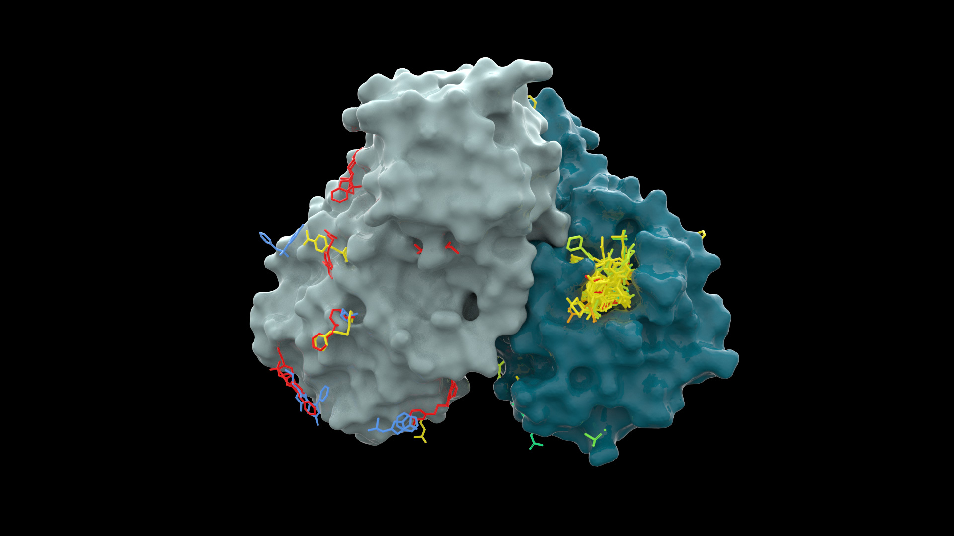 Dimer-All-Ligands-Bound : (Molecular) view of a key component of the SARS-CoV-2 virus called MPro (Green/Grey) with drug site targets identified (yellow).