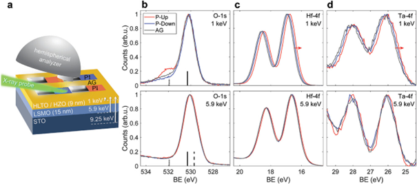 Figure:  Variable energy XPS for HLTO/HZO stacks. a) Schematic of XPS measurement and HLTO device stack with a focused X-ray probe aligned between W markers (grey) to probe PFM-poled regions of the HLTO/HZO. Approximate electron escape depths at photon energies of 1 , 5.9, and 9.25 keV shown. Core-level spectra for X-ray energies of 1 keV (top) and 5.9 keV (bottom): b) O-1s spectra for P-up (red line), P-down (blue line), and as grown (gray line) PFM conditions, c) Hf-4f and d) Ta-4f spectra for P-up, P-down, and AG conditions. O-1s peaks marked: (Hf/Ta)-O (solid line), NL-O (dotted line), and La-O (dashed line). Core-level shifts are highlighted by red arrows.