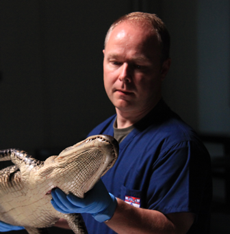 Phil Manning is one of the UK's leading dinosaur experts