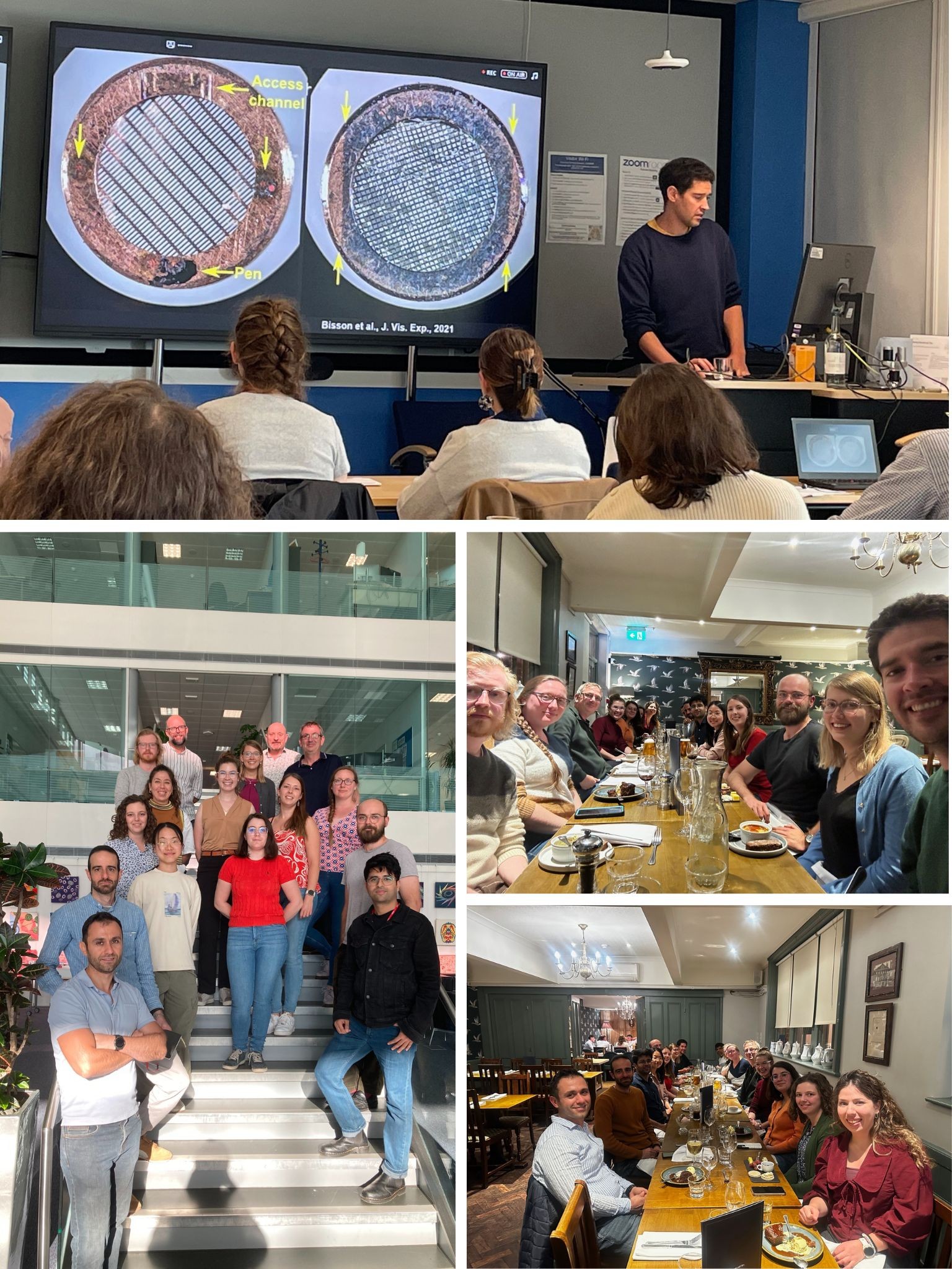 Image In Situ cryoET training course at eBIC
