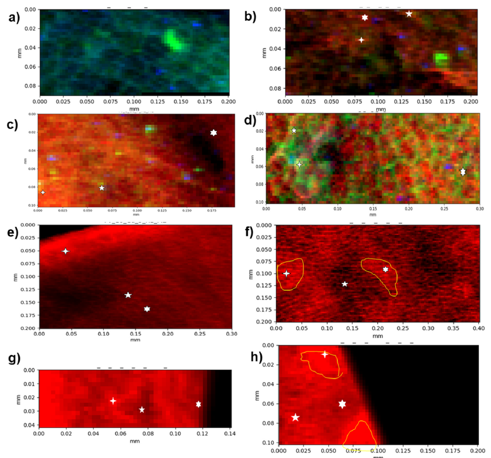 XRF elemental maps