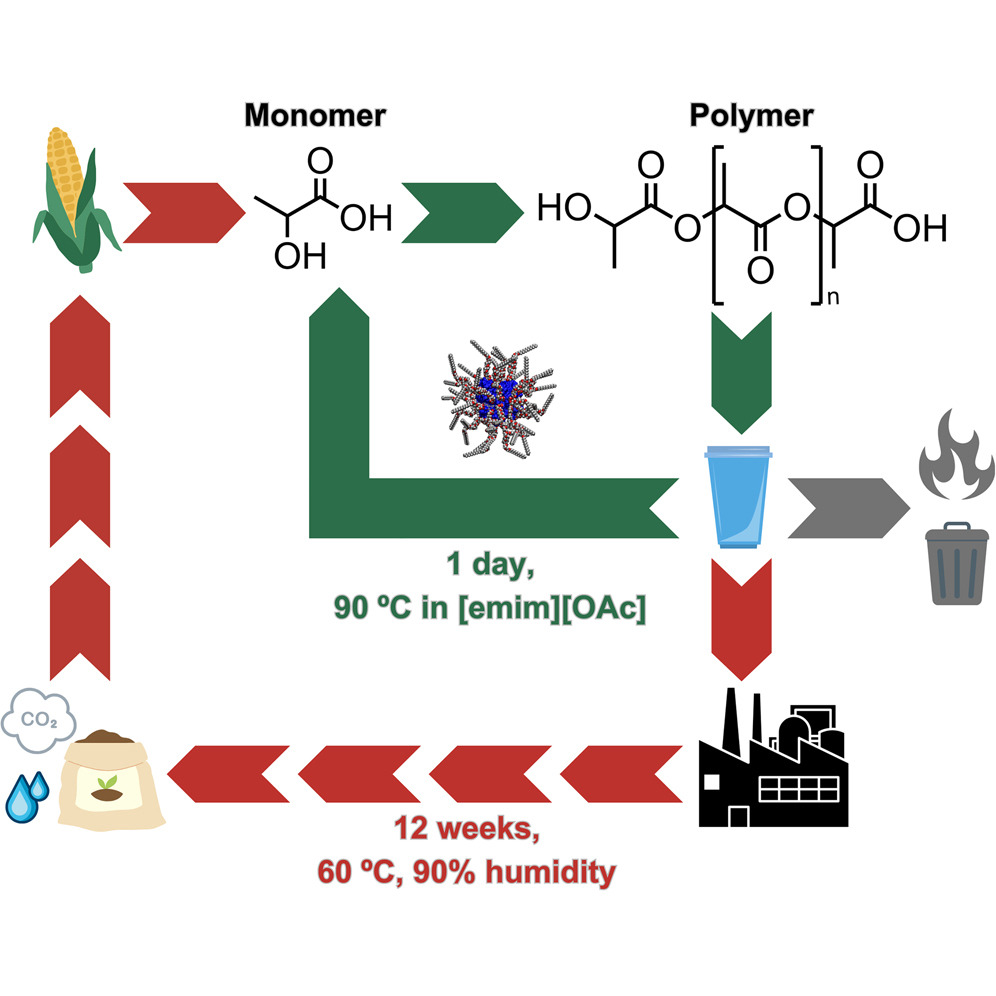 Graphical abstract of the publication