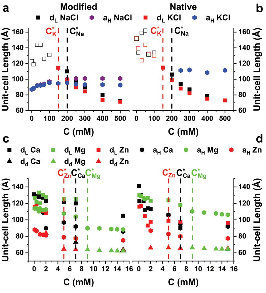 Figure 3: Normal and modified lipid compositions for different divalent ions concentration
<br/>(C). Modified (a, c) and normal (b, d) lipid concentration for different monovalent (a, b) and
<br/>divalent (c, d) ion concentrations. Dashed lines indicate C*.