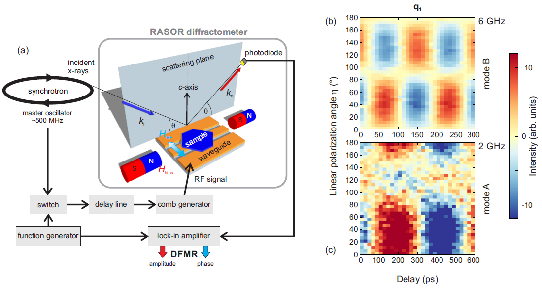 Figure 1: (a) Illustration of the diffractive ferromagnetic resonance (DFMR) setup. The sample is placed onto a coplanar waveguide, which is mounted inside the soft x-ray diffractometer RASOR on beamline I10. A magnetic field is applied in the scattering plane (shaded in grey) along the coplanar waveguide. The energy of the incident x-rays is tuned to L edges of the transition metals of interest (in this case the L3 edge of Fe). Static as well as dynamic measurements are carried out making use of a photodiode for the detection of the diffraction peaks. For dynamic DFMR measurements, a specific diffraction peak is selected and an amplitude-modulated microwave pump signal is applied. At Diamond, the probing x-rays are pulsed at ∼500 MHz. A comb generator is used to provide higher harmonics of this pulse frequency up to 10 GHz, and a delay line allows for the relative phase shifting of the microwave signal with respect to the x-ray pulses.  The right-hand side shows the DFMR delay scans of the magnetic Bragg peak of Y-type hexaferrite BaSrMg2Fe12O22 as a function of polarization angle. Measurements of (b) the anisotropic mode at 6 GHz and (c) the isotropic mode A at 2 GHz.