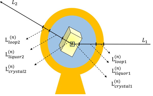 Figure 3. A sketch illustrating the ray-tracing method used to calculate an absorption correction factor for a crystal voxel n. L(n)m1 and L(n)m2 represent the path lengths of the incident and diffracted X-ray beams through the material m (loop, liquor and crystal).
