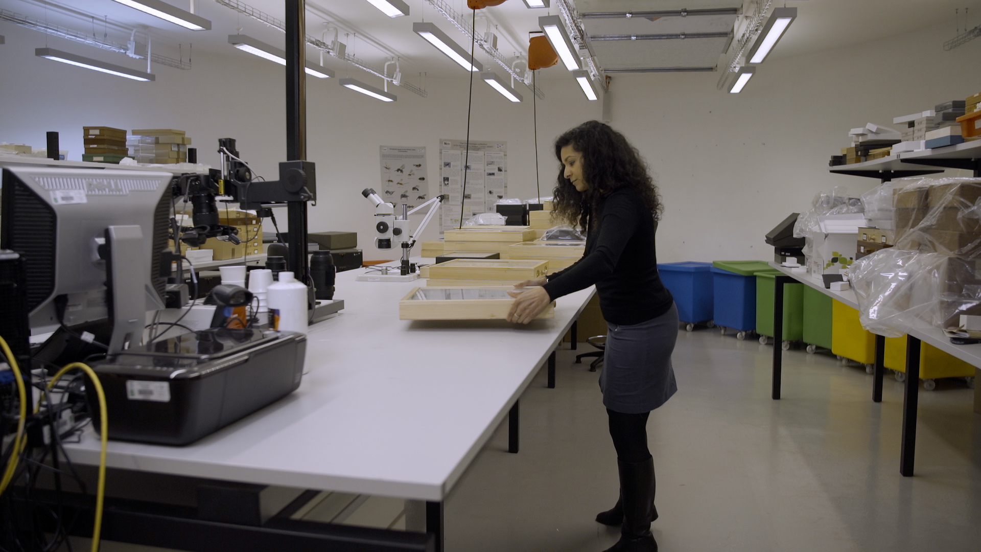 Professor Anjali Goswami  - Research Leader in Life Sciences at Natural History Museum