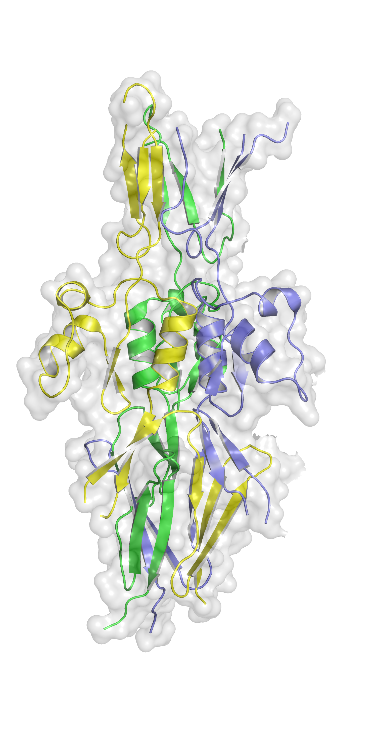 Figure 1: Crystal structure of HsfPD1 showing its trimeric architecture and novel domain arrangement. The three subunits are coloured yellow, blue and green. (Credit: by Maren Thomsen)