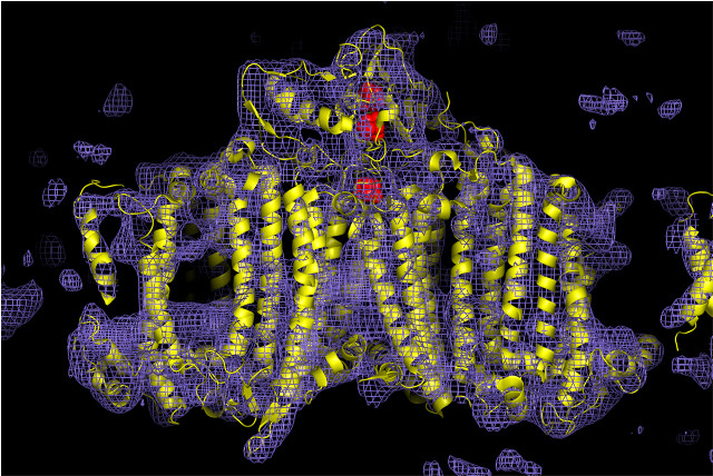 One of the first structures solved using X-ray FEL pulses was the photosystem I complex, which is key to photosynthesis.  The experiments with ultrashort X-ray pulses used to obtain this electron density map (purple mesh) proved the concept of "diffraction before destruction" to avoid radiation damage, especially of metal centres such as the iron-sulphur cluster shown in red.
