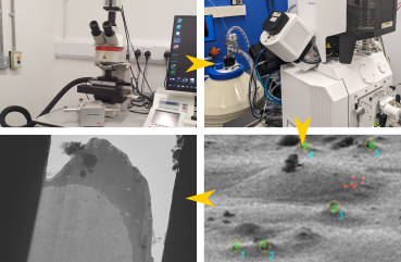 Image CryoFIB and correlative milling
